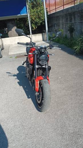TRIUMPH Triumph Trident